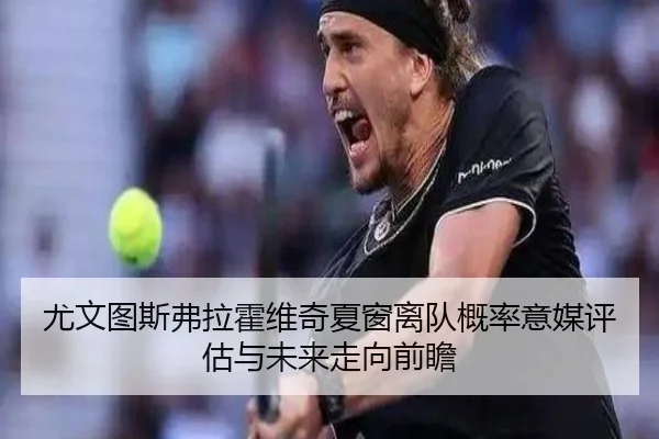 尤文图斯弗拉霍维奇夏窗离队概率意媒评估与未来走向前瞻